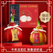 ���m�M�� ��피t�N����ذ�����_������ȳ����P���l�y������z
