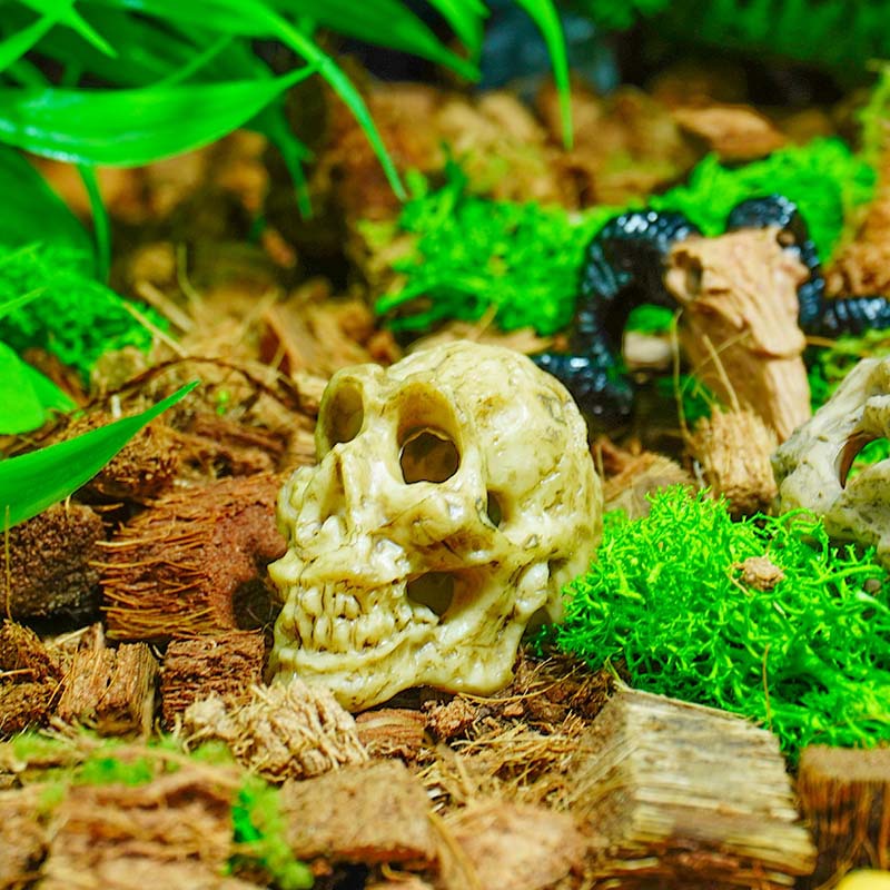 Cráneo dinosaurio cráneo acuario escalada pet crawler caja pecera DIY paisaje decoración simulación PVC Tyrannosaurus naufragio