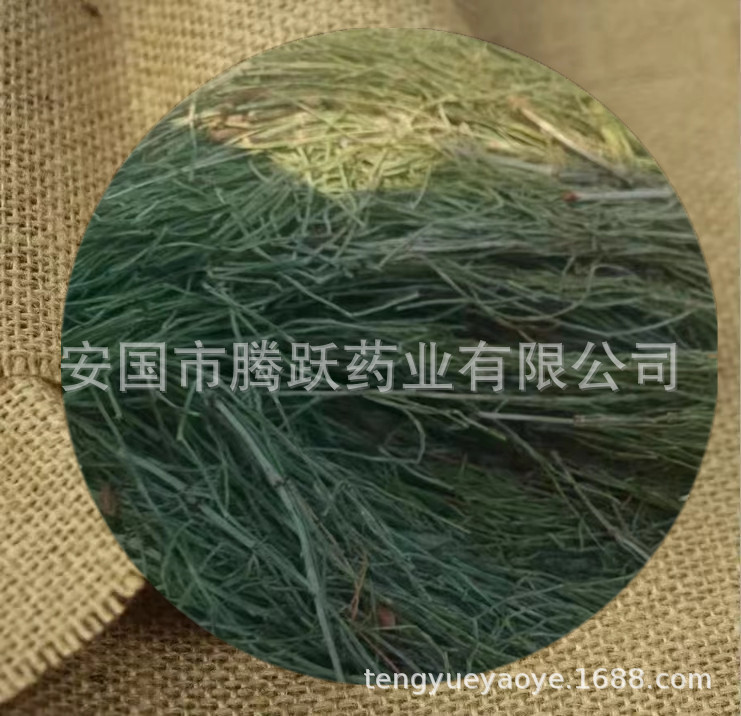 Dried Horsetail Herb Wen Jing 问荆 Whole Plant Bulk Chinese Botanical Tea Herb overview