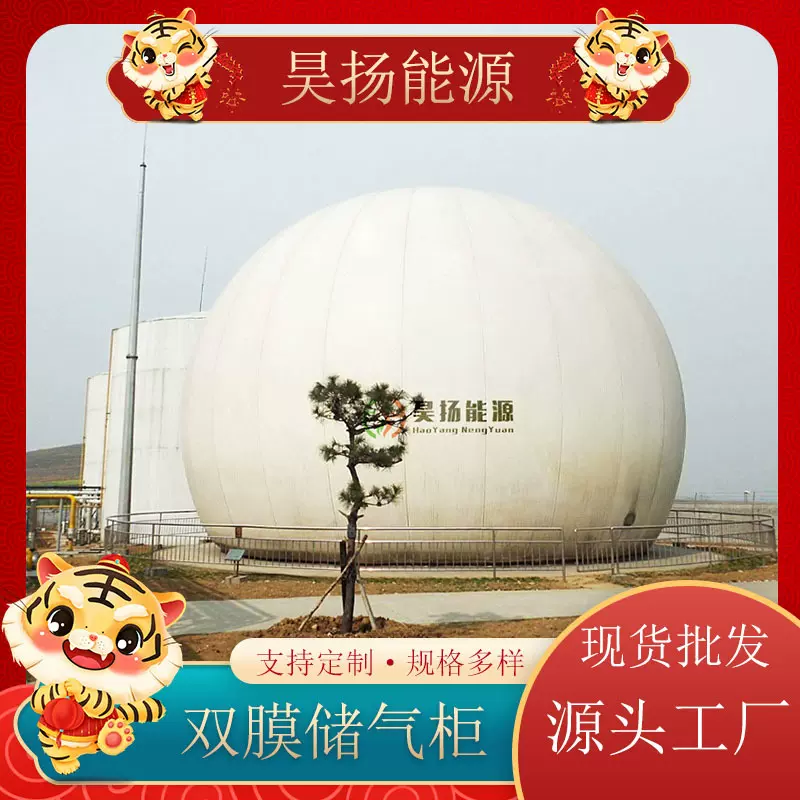 昊扬全套设备独立式双膜储气柜 大型沼气储存设备