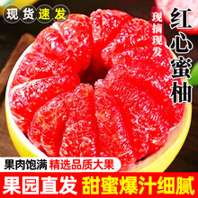 福建平和红心柚子新鲜水果三红柚整箱鲜果红肉蜜柚琯溪柚产地直发
