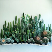 �������������Է���Gֲ�Ꭷ������ɳĮ�쾰�b[����䁙�������