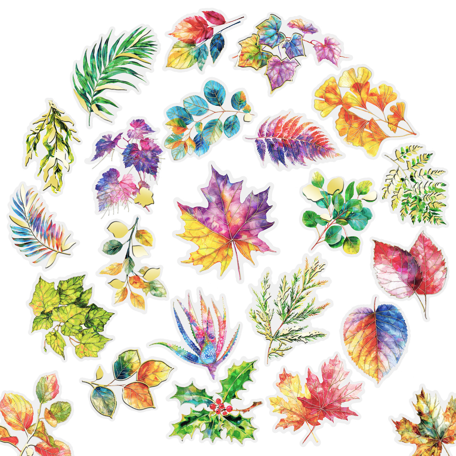 T01041975 콜드펌레이저잎 30매