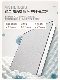 ���Ǽ��Ƶ����Z�qϯ��˼���|�������b���ɴ��|20cm���������z���|