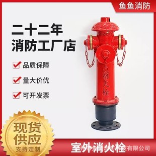 Customized outdoor hydrant SS100/65-1.6, anti-collision, decompression and stabilizing fire hydrant, thickened flange