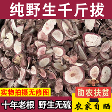 �����һ�l����Ұ����ţ�����Ҝ��ݾ���ǧ���ǧ���荵��L