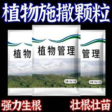 植物管理中量元素水溶肥养花植物通用育苗基质促花叶绿生根粉花肥