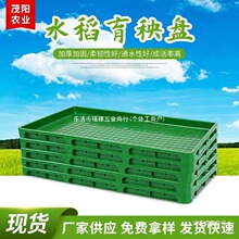 �¿�9��7��Ӻ�ˮ�������P��ƺС���Ͳ�����P����C����PP