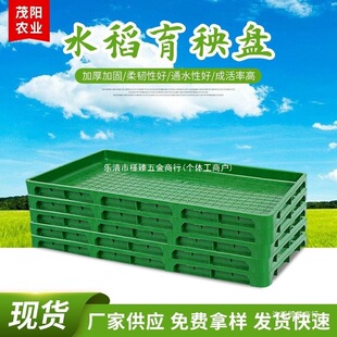 �¿�9��7��Ӻ�ˮ�������P��ƺС���Ͳ�����P����C����PP