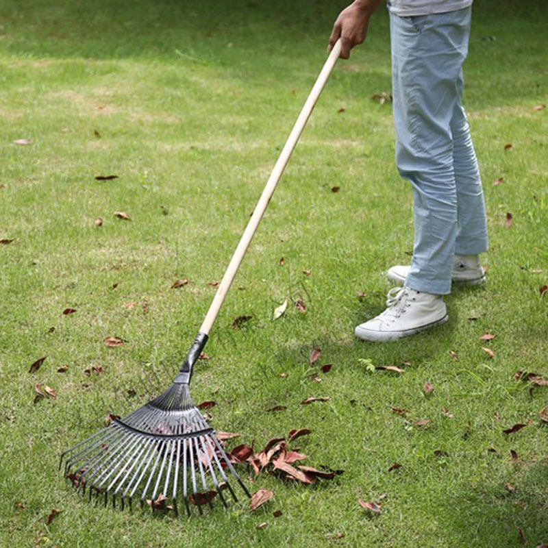 Leaf and Grass Rake, Rake Leaves, Garden and Landscape Tool, Spray Plastic Steel Rake, 22-Tooth Fall Leaf Rake