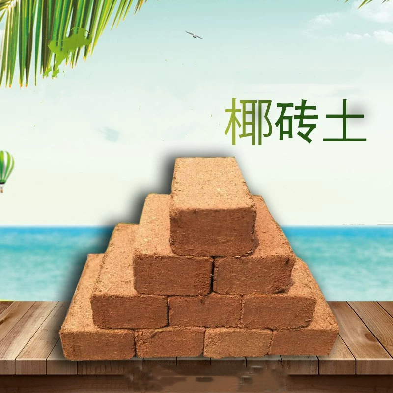Питательная почва из кокосового кирпича Кокосовая почва кокосовые отруби сочная почва почва Растения растениеводство цветоводство почва питательная почва