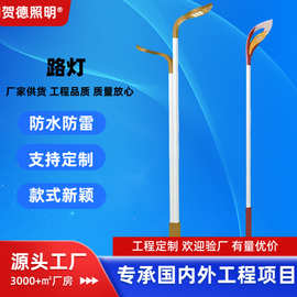 厂家直销太阳能LED市电路灯花瓣草坪玉兰灯单臂双臂道路灯