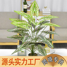 跨境新品仿真绿植假植物轻奢室内盆栽家居装饰园林景观造景海芋叶