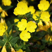 ҊݻNļN_׻ѻͥԺͺN