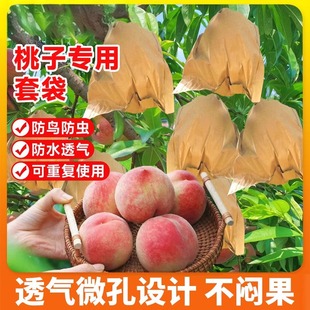 Special Peach Bagging Peach Bag Nectarine Peach Yellow Peach Bagging Breathable Fruit Bagging Fruit Bag Peach Bag Insect-Proof