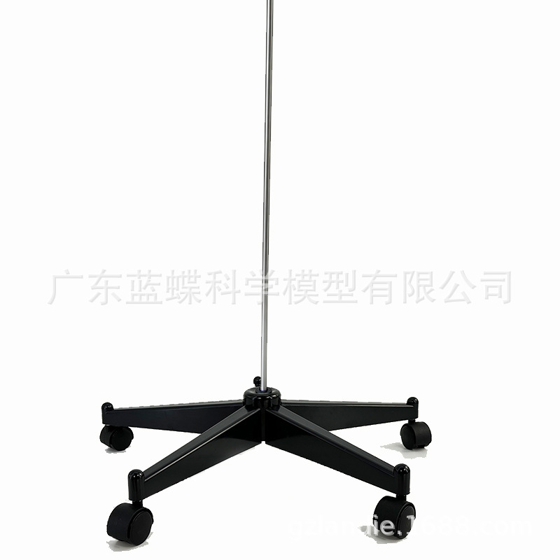 170cm��������ģ�����׵����ʵ��� ��ɫ ���ϵ�����֧�� ����