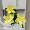 New clematis