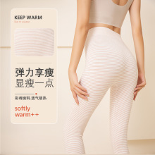 无缝彩棉保暖裤秋冬高腰女士莫代尔打底裤内穿薄款紧身秋裤女批发