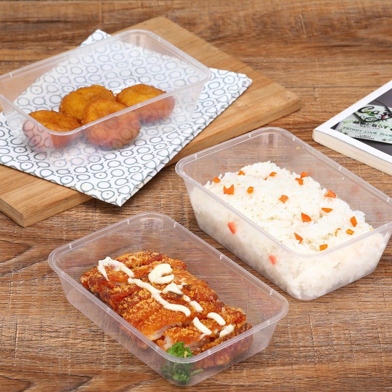 Disposable Packaging Box Rectangular Outdoor Camping Style Picnic Box Plastic Takeaway Stall Lunch Box with Lid