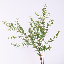 跨境单支尤加利仿真绿植婚庆插花装饰插花外贸人造绿植桉树枝82cm