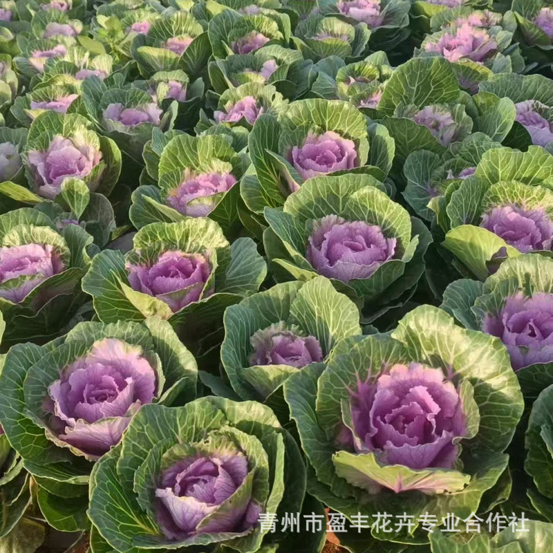 微信图片_20241119101627