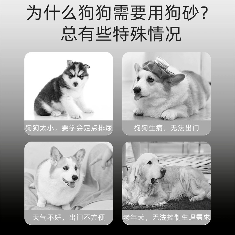Arena para perros Desodorante especial para perros, inodoro, mierda, arena para gatos, desodorante sin polvo, peluche, bichón, productos para mascotas Bomei
