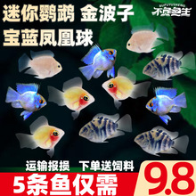 �����~���Č��{�P���������W�^�~��С�͟Ꭷ�~��ˮ�~�^�p�~���w