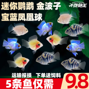 �����~���Č��{�P���������W�^�~��С�͟Ꭷ�~��ˮ�~�^�p�~���w