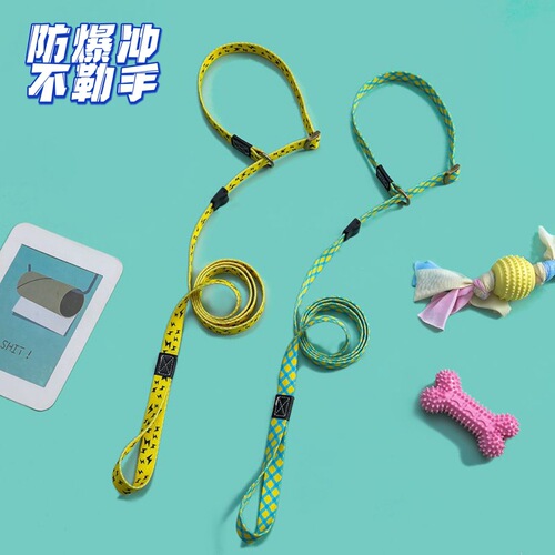 Amazon hot selling pet leash dog leash explosion-proof dog leash pet P chain P rope manufacturer wholesale