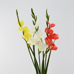 ܛ�z֦���m��85���׷��滨�b[���߼��п͏d��ػ�ˇ�廨��Ĳ�