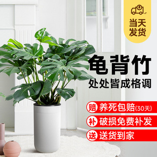 �Ϙ��������^�~ֲ���k���҃ȿ͏d�����ԾGֲ���辰�����՚�����ȩ