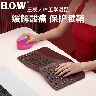 BOW����HD428CL���w���̌W�I�P  ������ģ�I�P������ ���m����