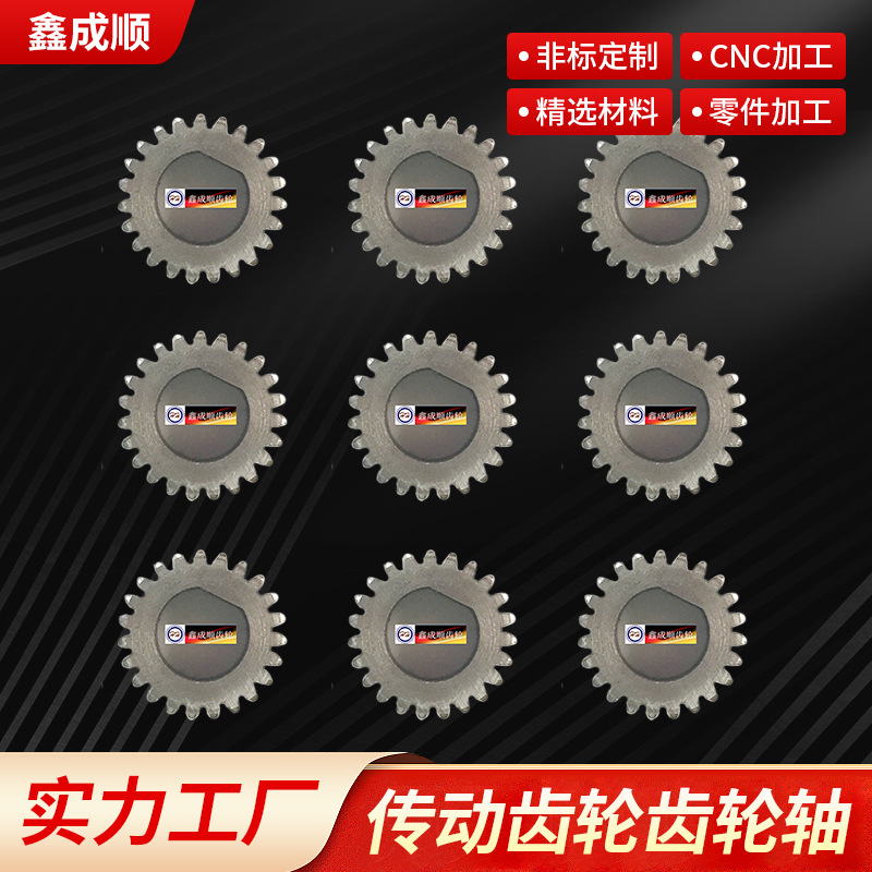 传动齿轮,齿轮轴 小模数齿轮 微型齿轮 齿轮厂家