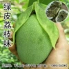 Green-skinned lychee flavored mango +15cm (inclusive)-30cm (exclusive)