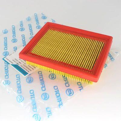 Air filter 250Nk Sr Clx Air