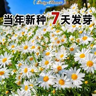 �����_�R��ʾշN���ļ����N�_���׻������ͥԺС�r�ջ��N����