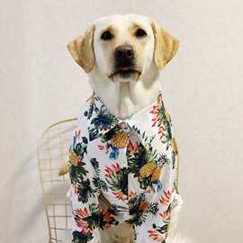 宠物衣服狗狗夏威夷风衬衫大型犬夏季衣服金毛拉不拉多防掉毛衣服