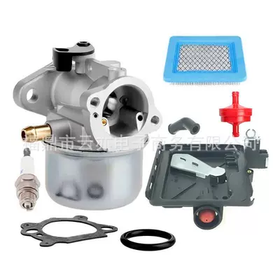 Suitable for 498170 799872 694202 497586 498254 790821 Carburetor