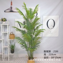 ���Q ����ɢβ�� �����Pβ������ ��β���[�� �����辰 �٘����l