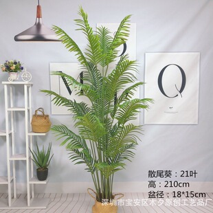 ���Q ����ɢβ�� �����Pβ������ ��β���[�� �����辰 �٘����l