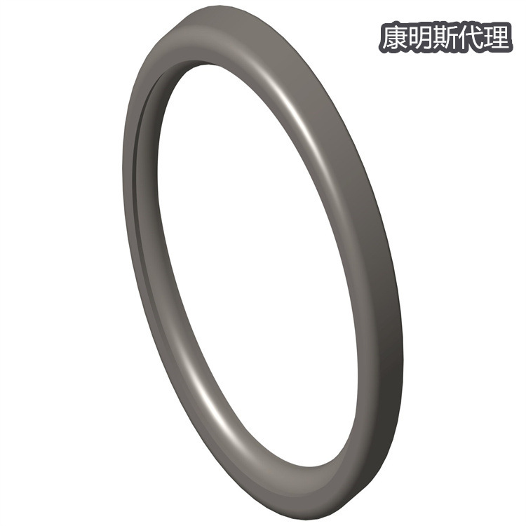 康明斯NTA855系列发动机修理件 恒温器密封188318