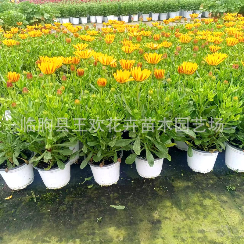 9a58eb89-811c-467f-9d7e-a0e954