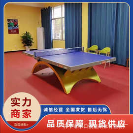 DHS/红双喜金彩虹乒乓球台带LED灯比赛室内乒乓球桌案子
