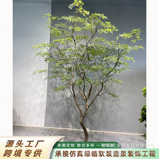 ������ë���߶��R��ľ�҃ȼ٘����Gֲ�����b����Ř�����~��