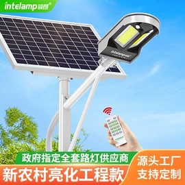 太阳能灯;庭院灯;道路照明灯