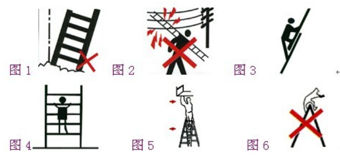 微信图片_20211207144221