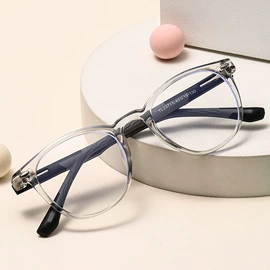 太阳镜;光学眼镜;框架眼镜