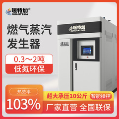 锅炉蒸汽机发生器商用工业食品蒸馏酿酒1吨2吨电加热天燃气锅炉