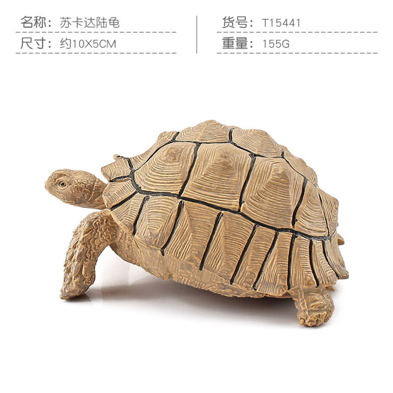 Transfronteriza Nueva simulación anfibio reptil modelo tierra tortuga elefante tortuga estrella tortuga estática decoración cognitiva decoración juguete