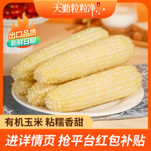 �����N��������������Ŵ���װ����r��հ��bܛ����ճ��Ŵ����